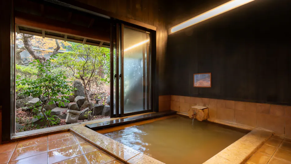 Matsumotoro Western-style Inn Pinon
