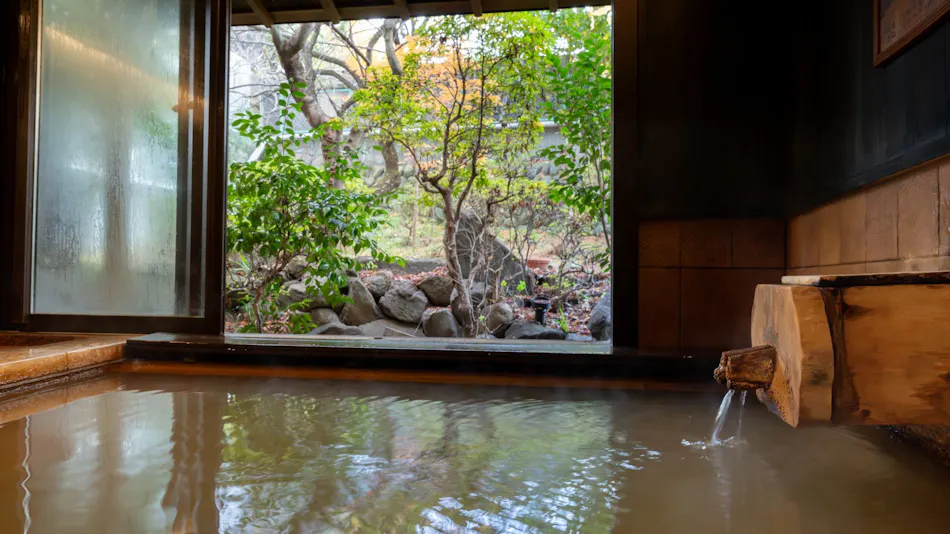 Matsumotoro Western-style Inn Pinon