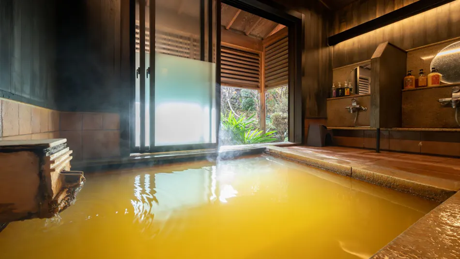 Matsumotoro Western-style Inn Pinon