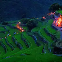 ประเพณีแห่ไล่แมลงของนากายามะ