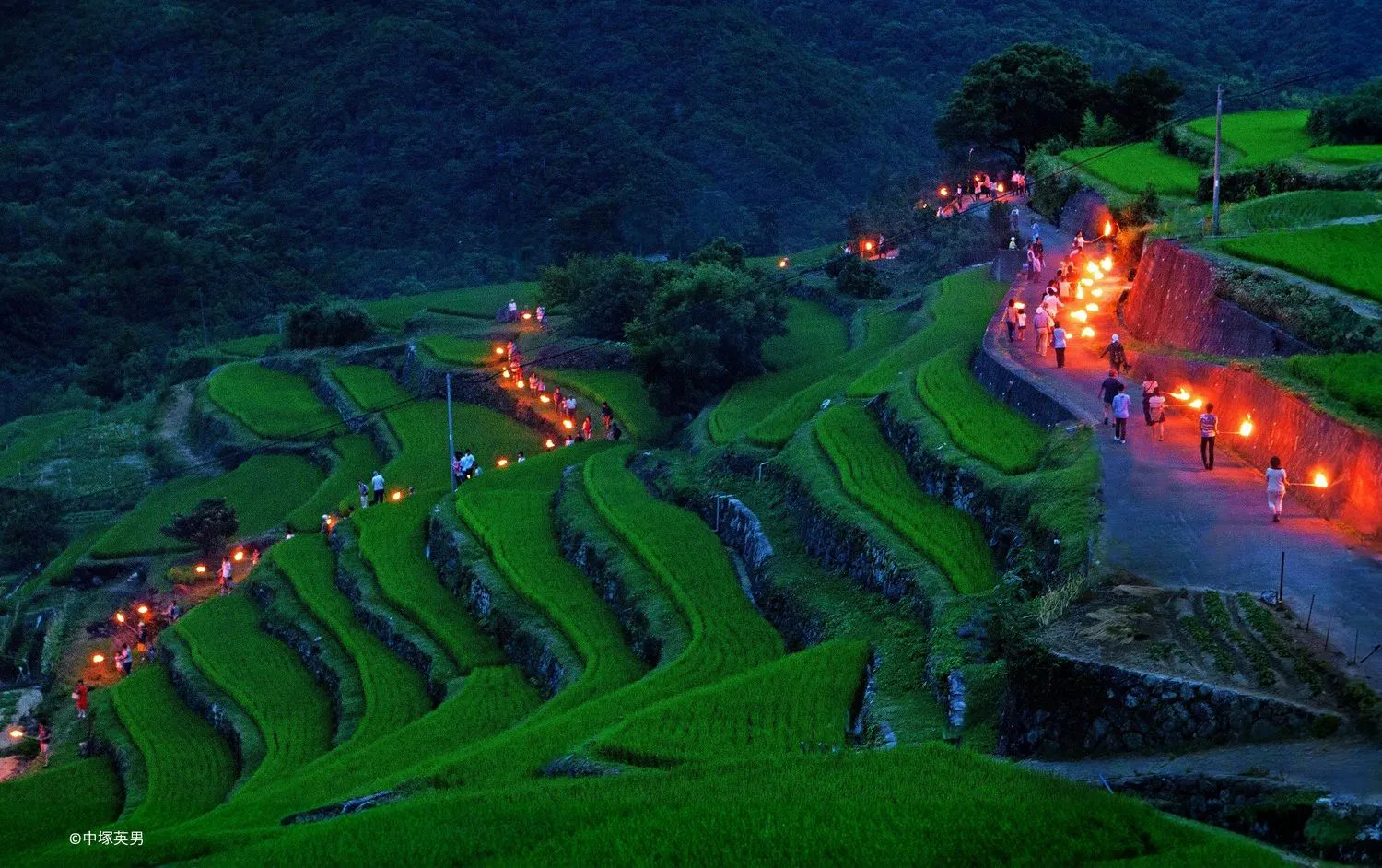 Pengusiran Serangga di Nakayama