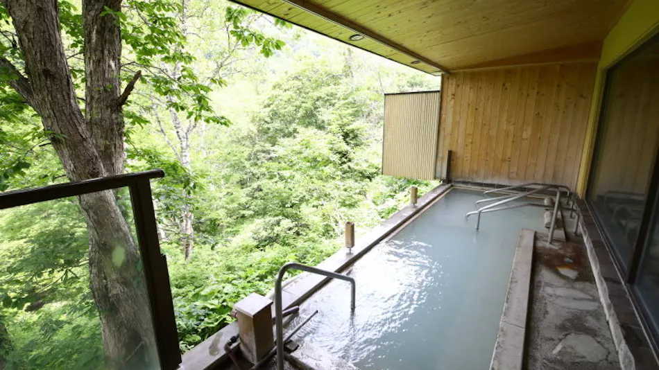 Shiga Kogen Shiroi Onsen Keikoku no Yu