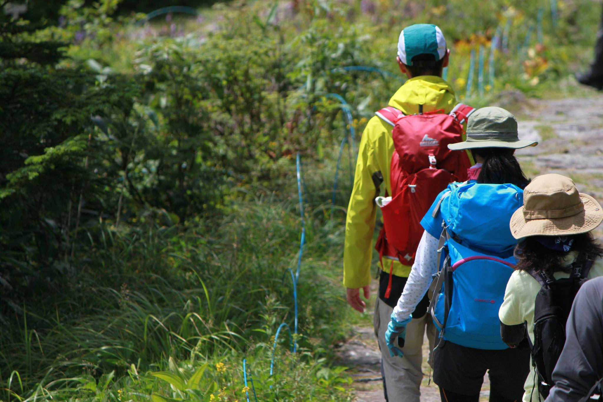 Shiga Kogen ฤดูร้อน เดินป่า