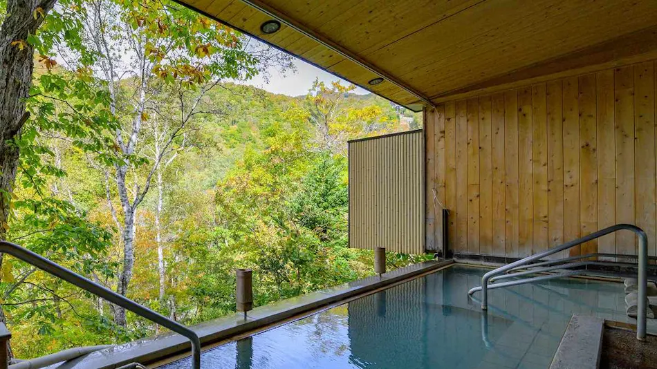 Shiga Kogen Shiroi Onsen Keikoku no Yu