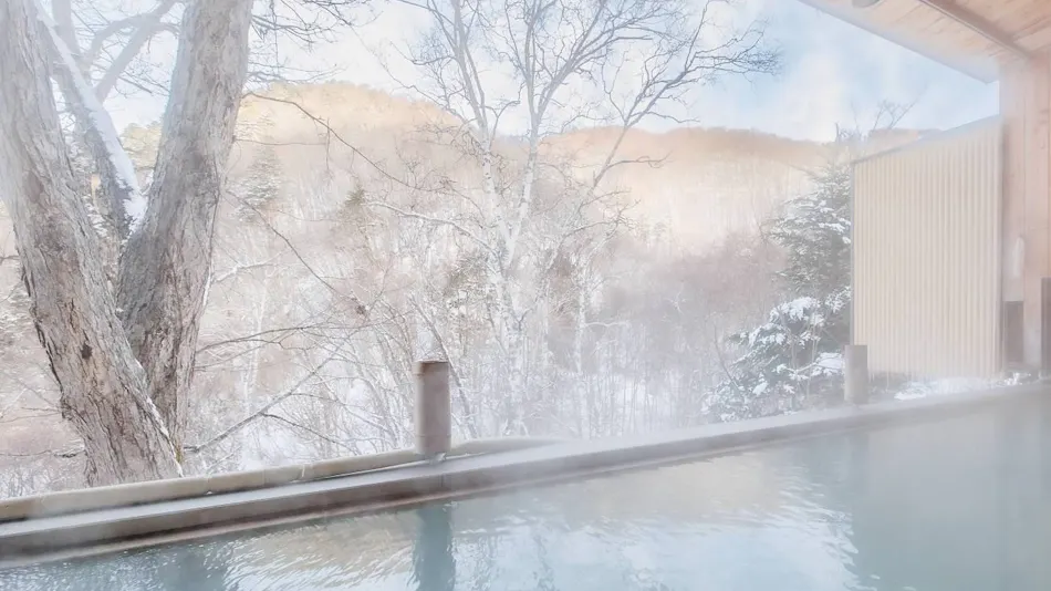 Shiga Kogen Shiroi Onsen Keikoku no Yu