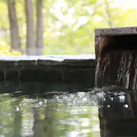 木立の間に見え隠れ,海を見ながらのんびり