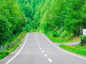 オーベルジュ　ニングルフォーレ