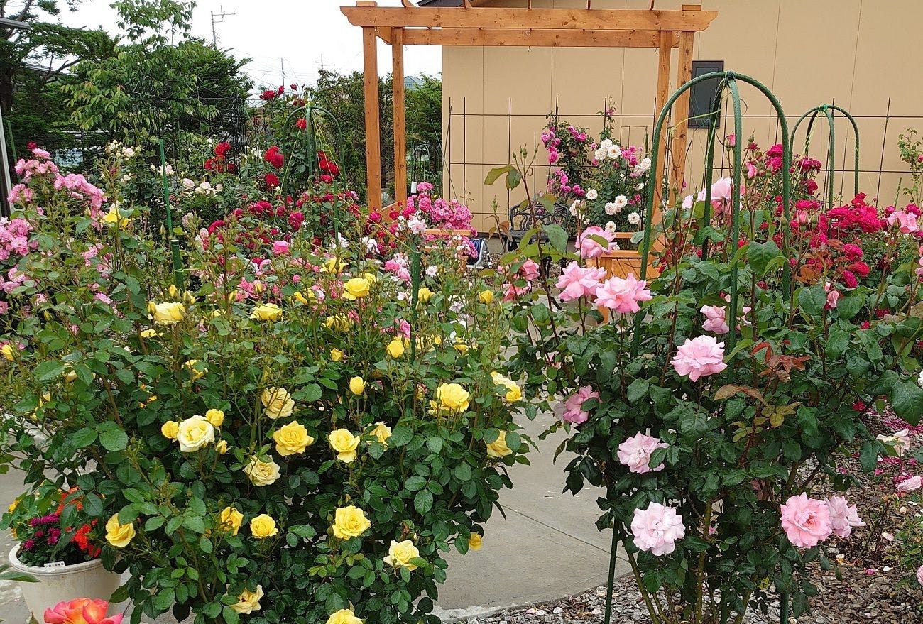 花の宿　夢富士