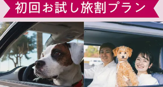 愛犬との旅デビュー 初来館の方歓迎 初回お試し旅割プラン