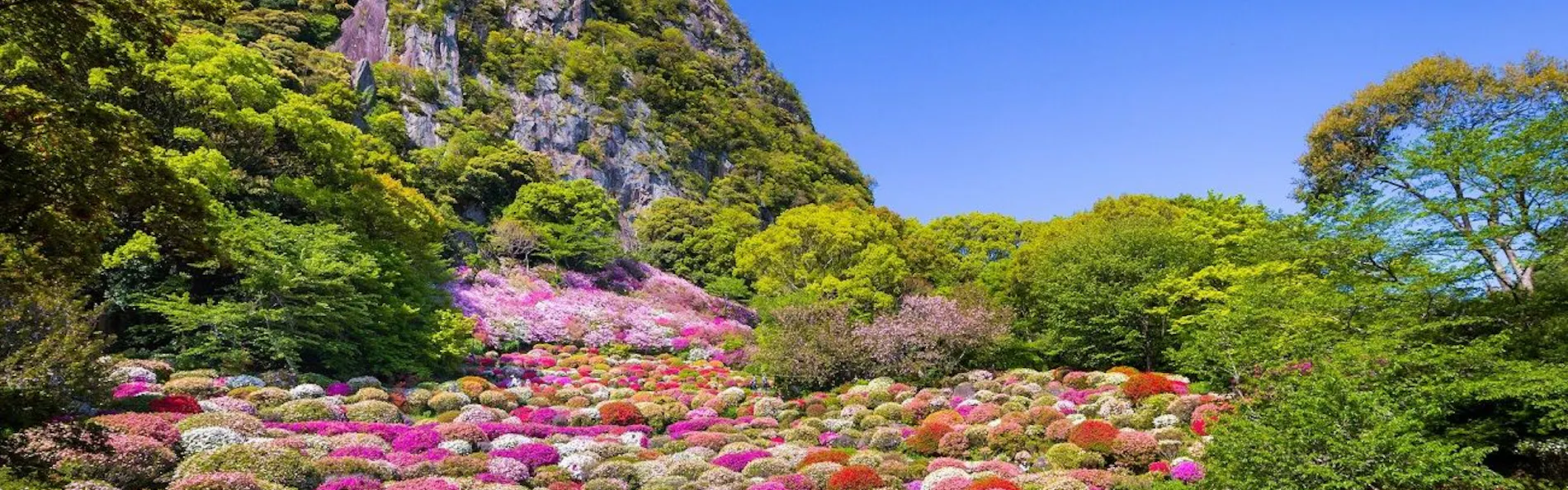 御船山楽園ホテル