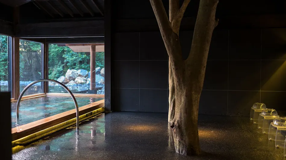 Mifuneyama Rakuen Hotel