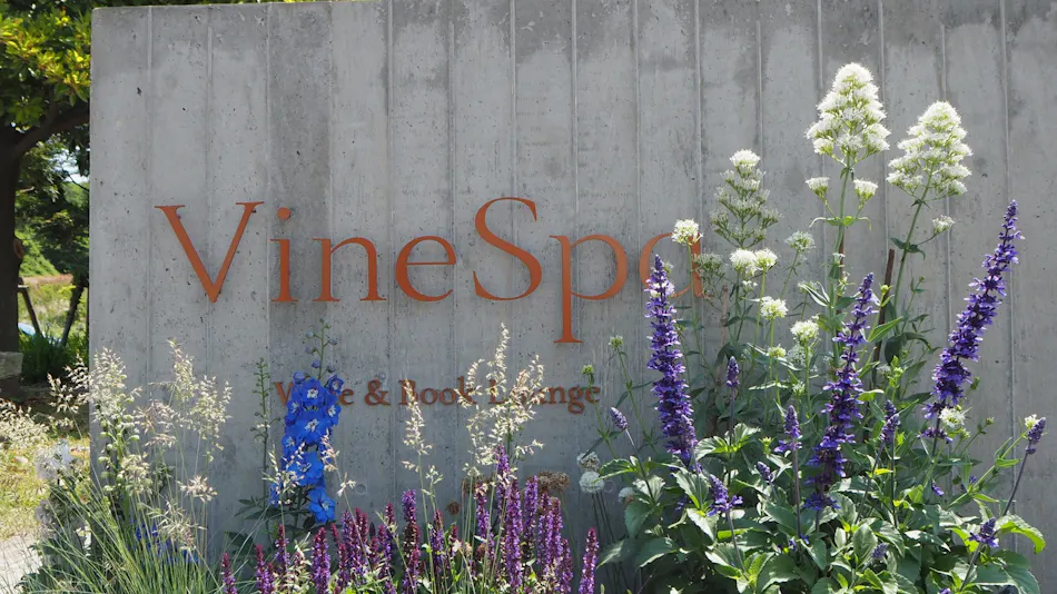 Cave d'Occi Vinespa