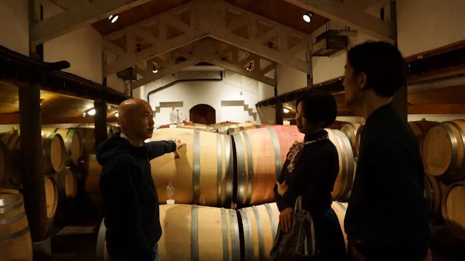 Cave d'Occi Vinespa