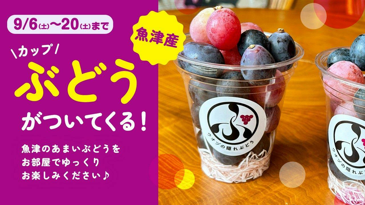 北陸　富山　日本の名湯　金太郎温泉　光風閣