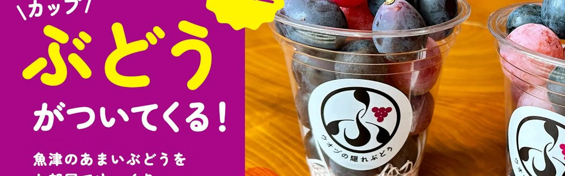 北陸 富山 日本の名湯 金太郎温泉 光風閣