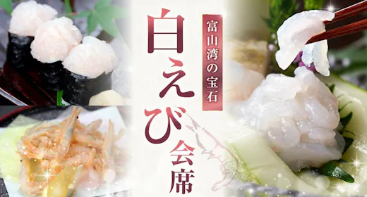 【夏秋限定】富山湾の宝石を味わう白えび会席コース