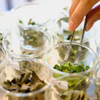 【ประสบการณ์การผสมชาสมุนไพรญี่ปุ่น】