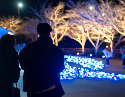 【うたあかり】