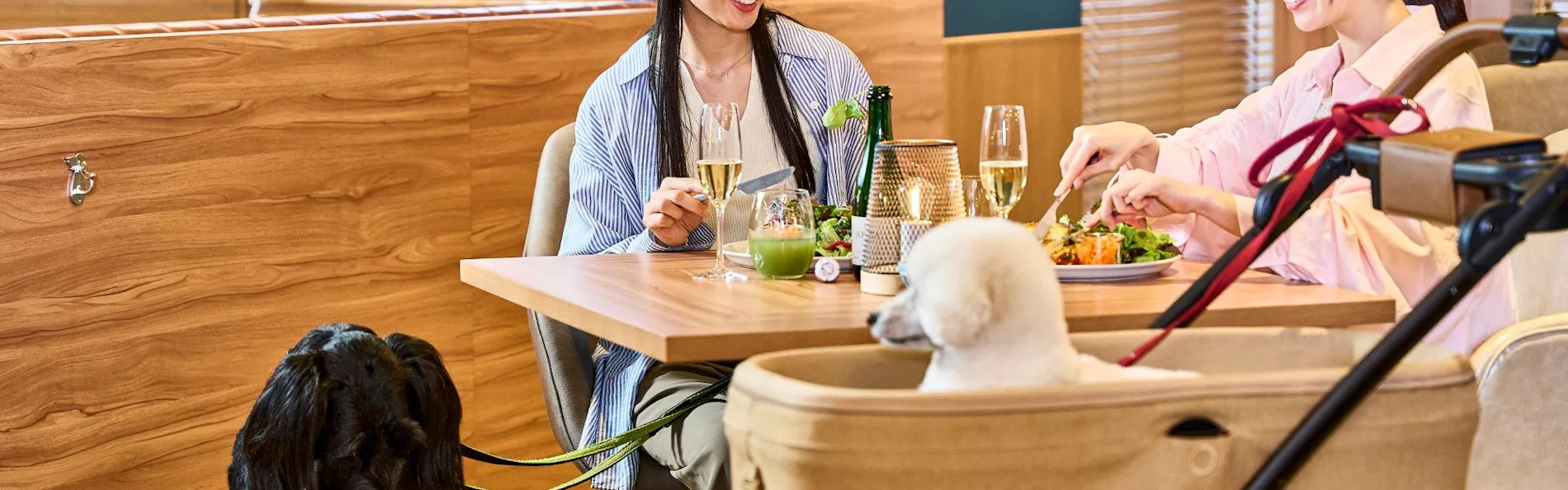 Doggy's Coast Oarai