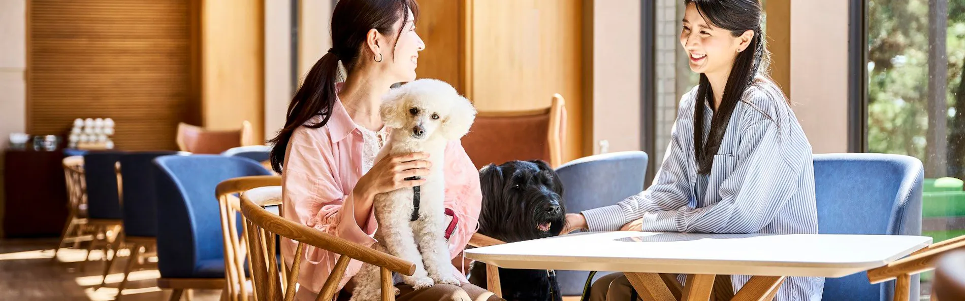 Doggy's Coast Oarai