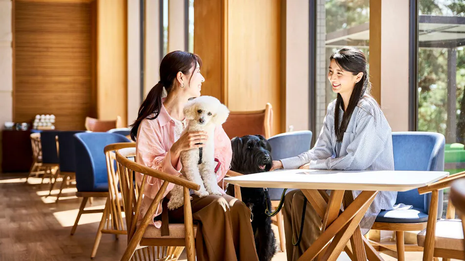 Doggy's Coast Oarai