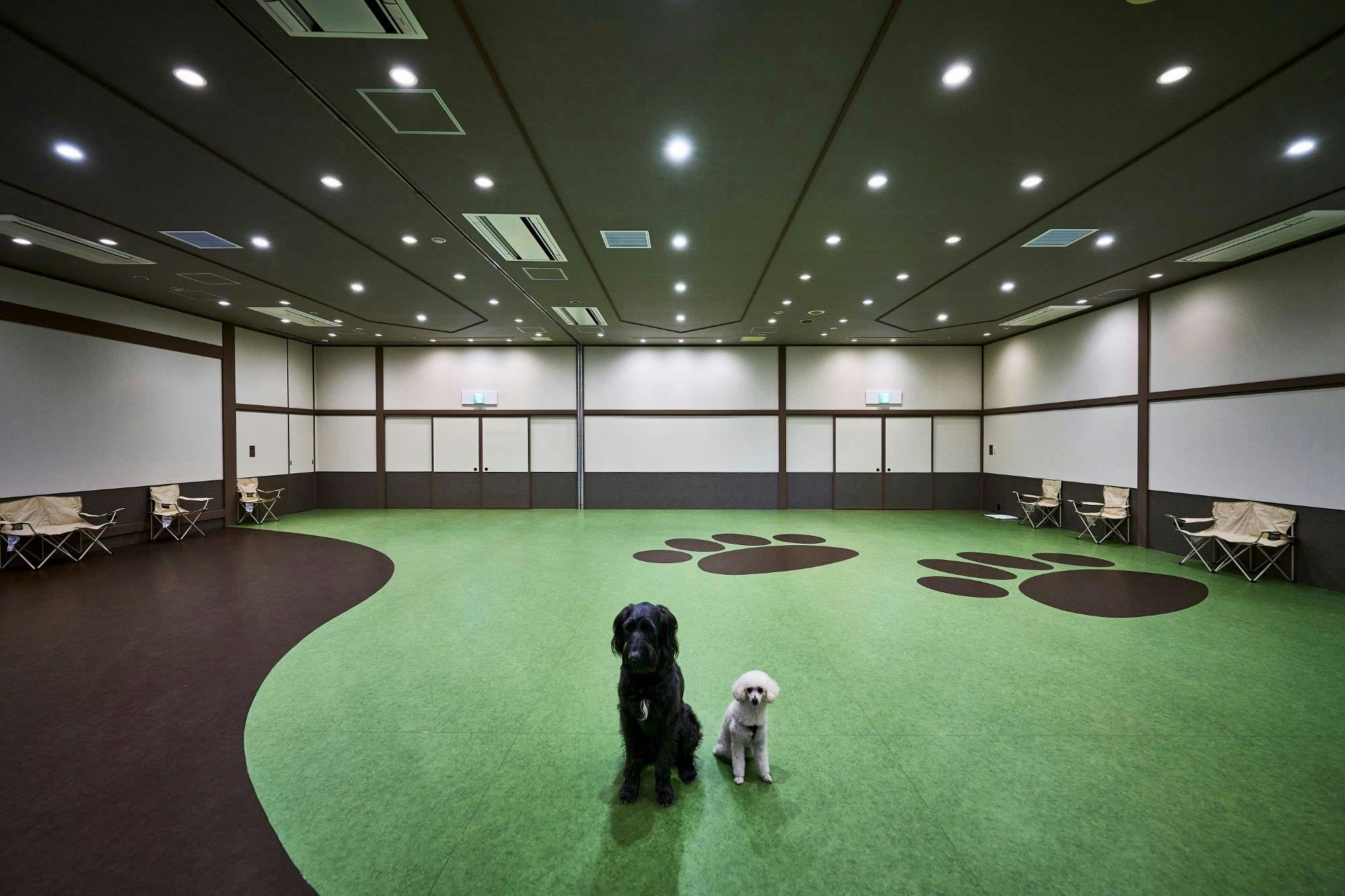 Doggy's Coast Oarai