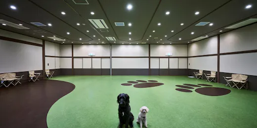 Doggy's Coast Oarai