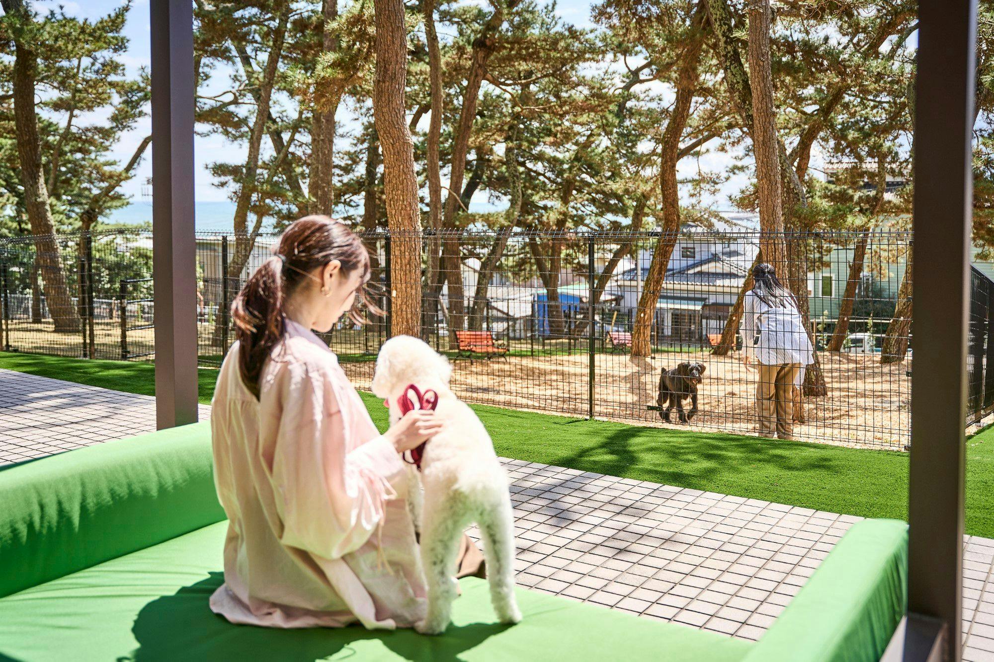 Doggy's Coast Oarai