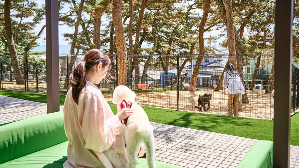 Doggy's Coast Oarai