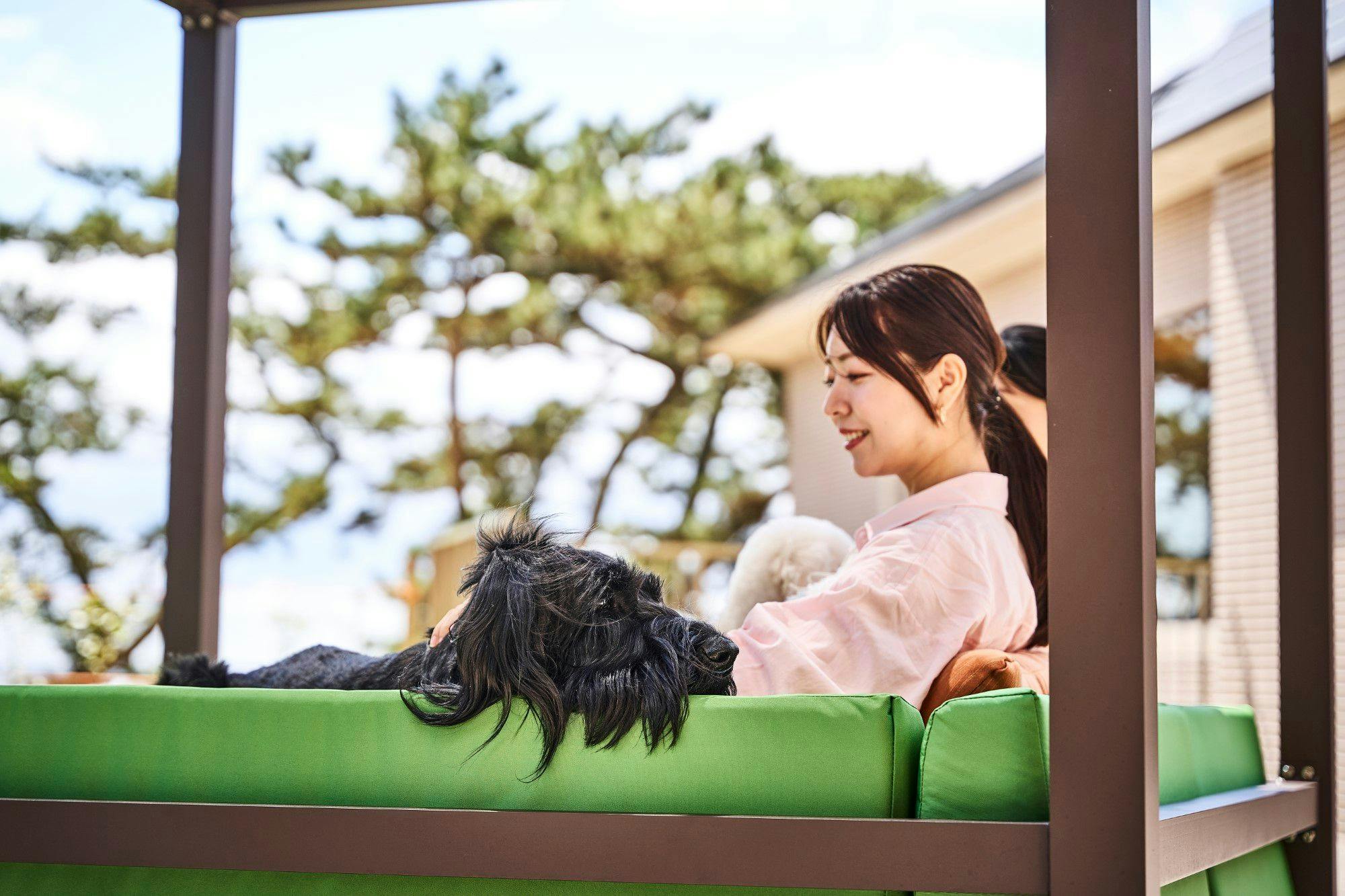 Doggy's Coast Oarai