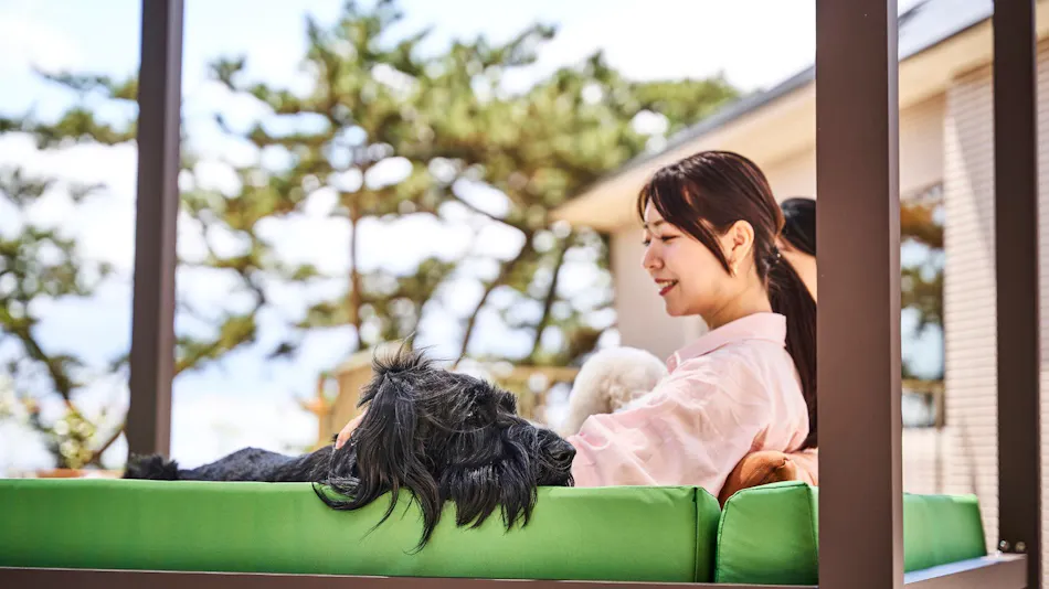 Doggy's Coast Oarai