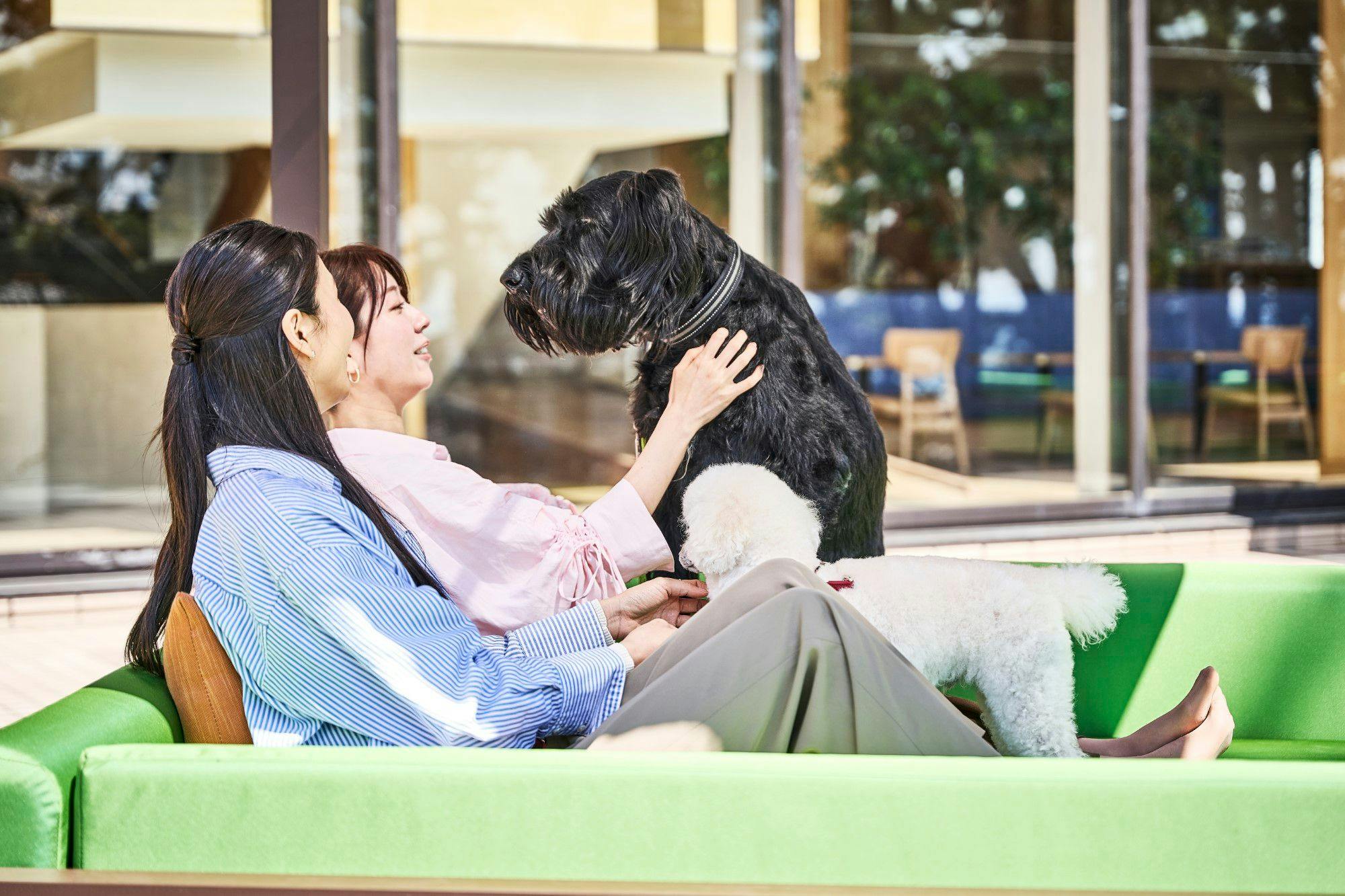 Doggy's Coast Oarai