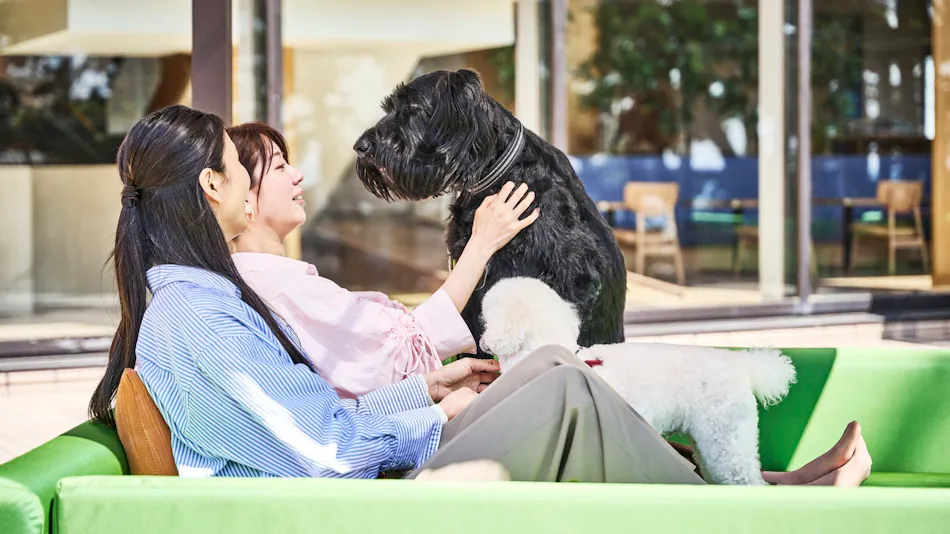 Doggy's Coast Oarai