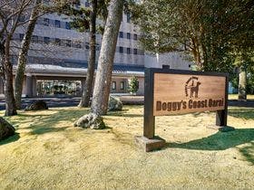 写真：Ｄｏｇｇｙ’ｓ　Ｃｏａｓｔ　Ｏａｒａｉ