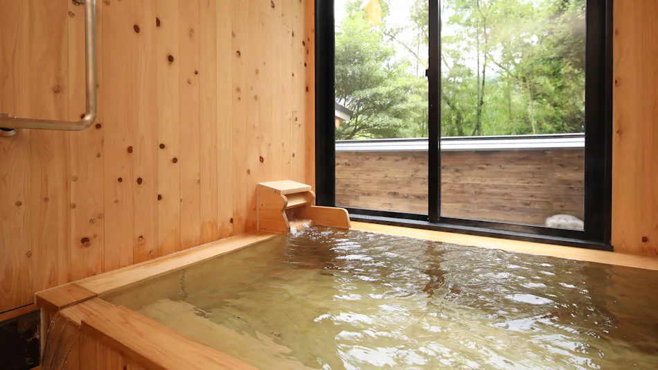 Tochigi Onsen Ayugaeri Falls View Accommodation Oyama Ryokan