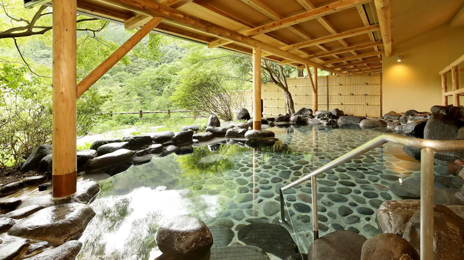 Tochigi Onsen Ayugaeri Falls View Accommodation Oyama Ryokan