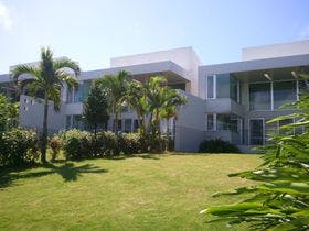 The Green Terrace