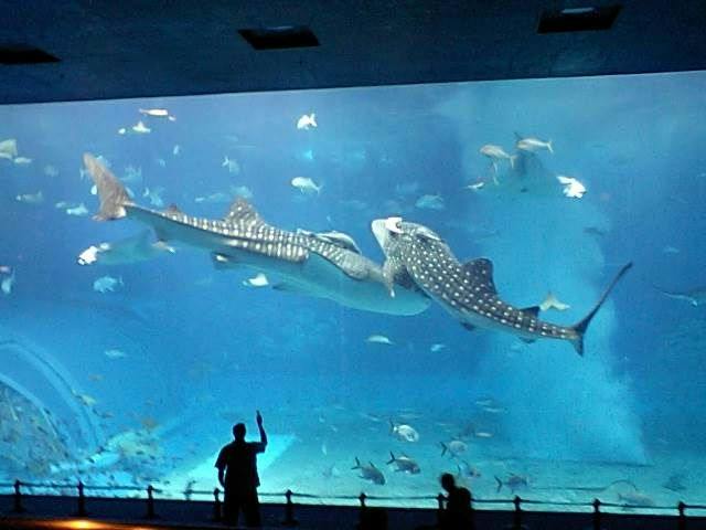 【1泊～】暮らすように過ごす贅沢コテージ！海辺の散歩