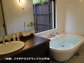 フクギテラス