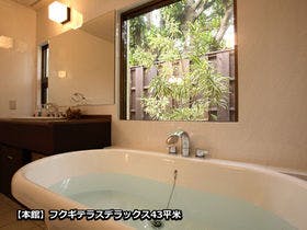 フクギテラス