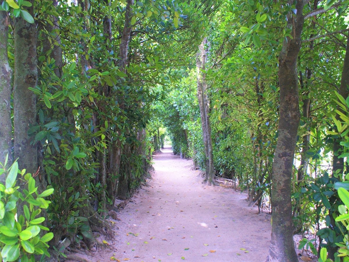 Ｆｕｋｕｇｉ　Ｔｅｒｒａｃｅ