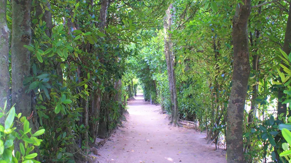 Fukugi Terrace