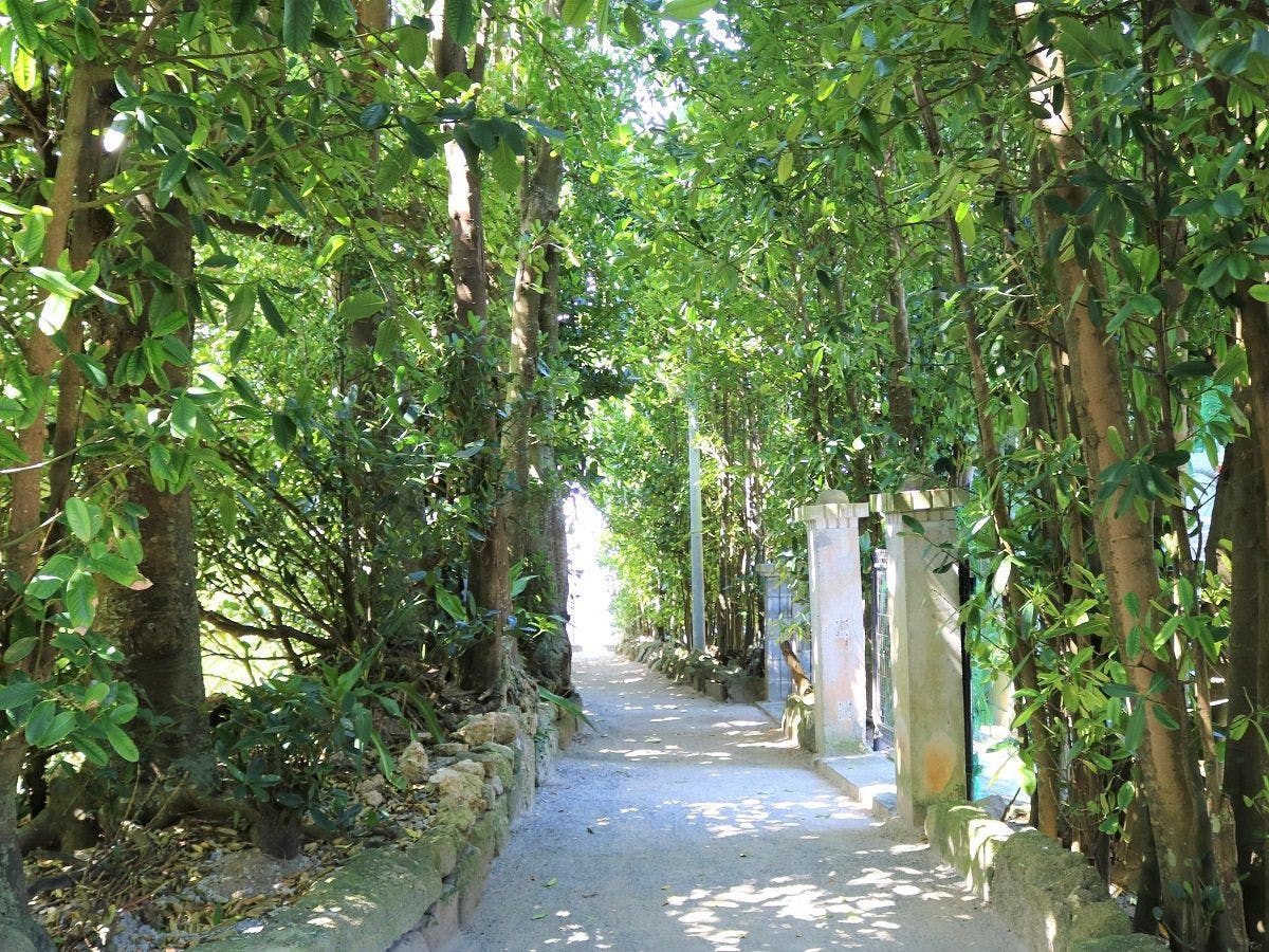 Ｆｕｋｕｇｉ　Ｔｅｒｒａｃｅ