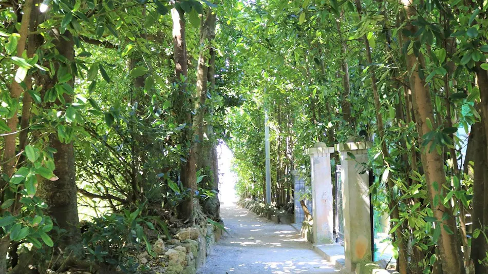 Fukugi Terrace