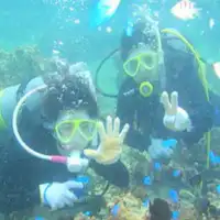 ・ダイビングにもおすすめ