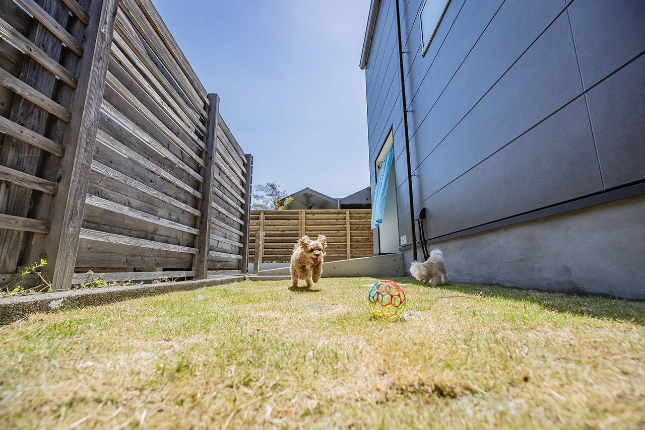 22年最新 東海 ペットと泊まれる宿ランキング 一休 Com