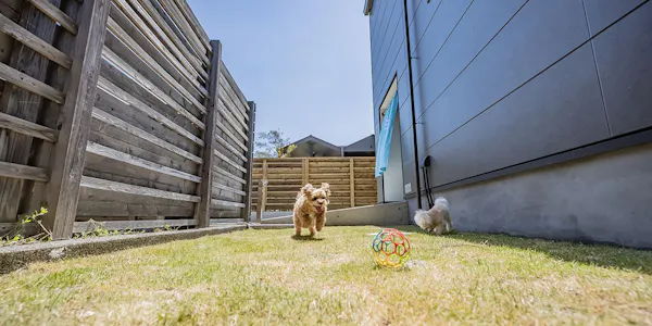 22年最新 東海 ペットと泊まれる宿ランキング 一休 Com 22年最新 東海 ペットと泊まれる宿ランキング 一休 Com