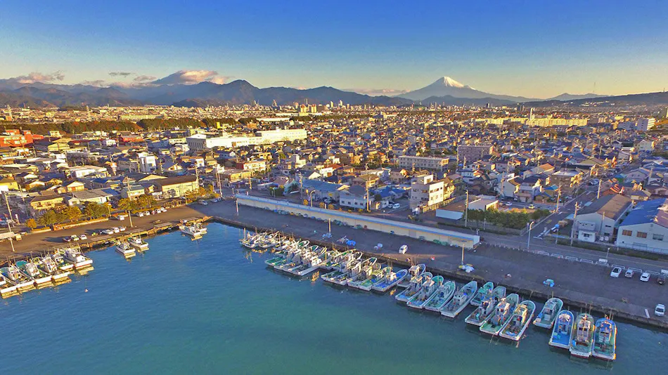 Nihon Iro
