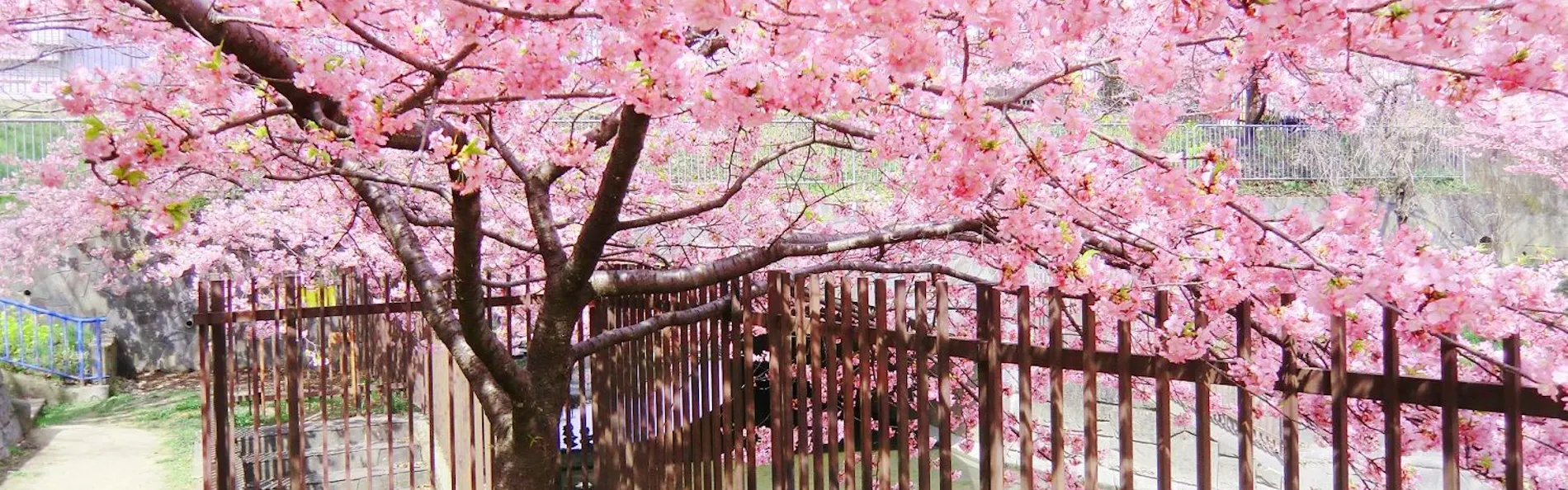 京町家雅 清水別邸