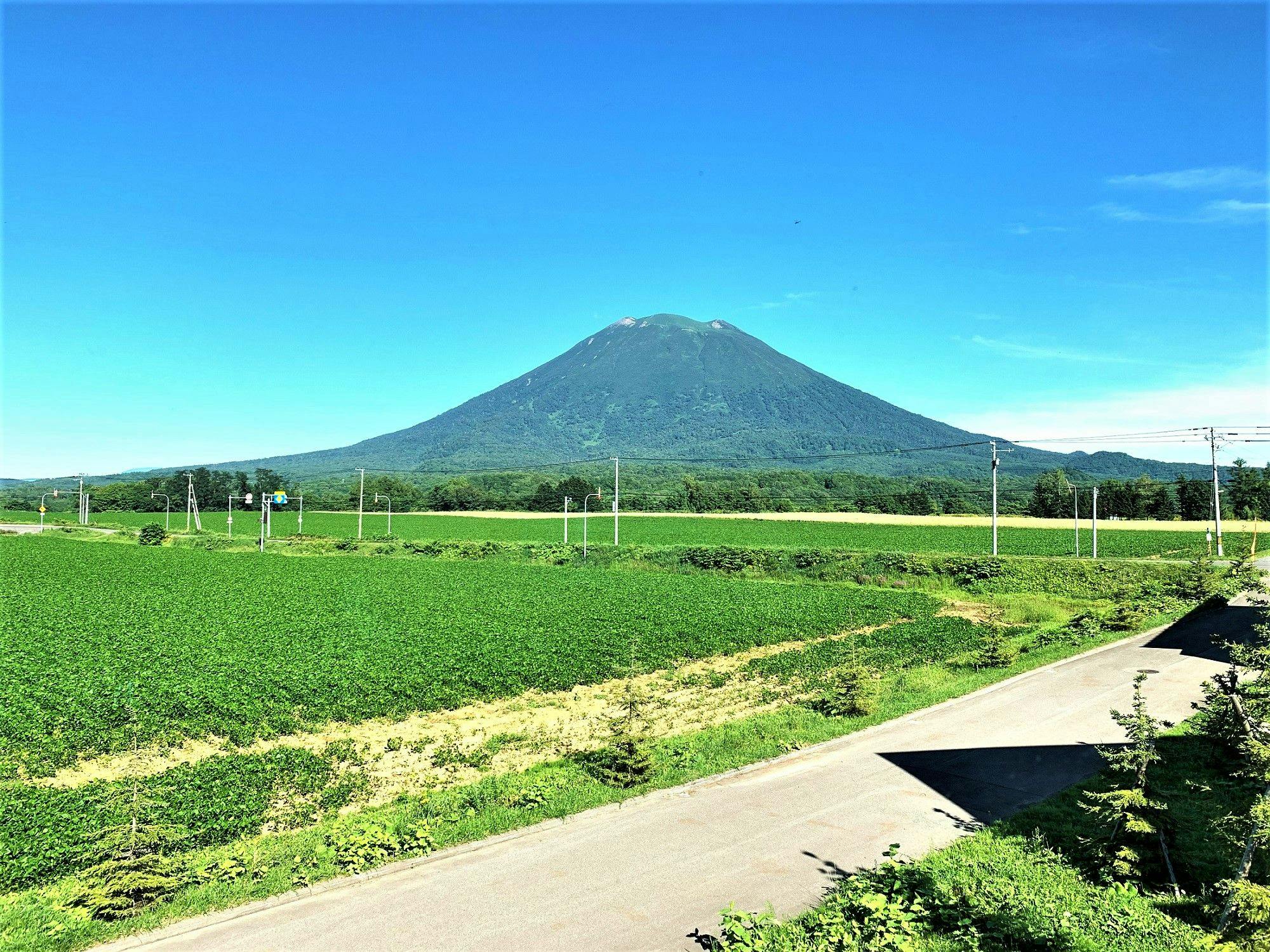 วิวภูเขาโยเทอิจากห้องพัก